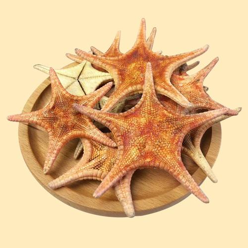 海星干 从海洋到泡酒坛的初级农产品之旅